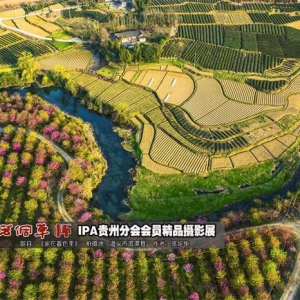 国际摄影协会（IPA）贵州分会举办会员摄影精品展
